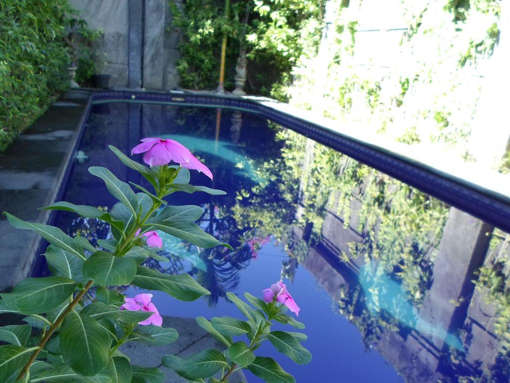 Отель Bali Aman Darling House Чангу Экстерьер фото