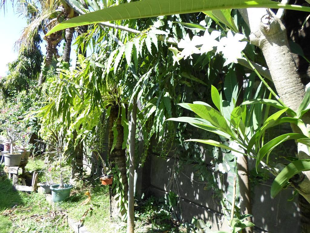 Отель Bali Aman Darling House Чангу Экстерьер фото
