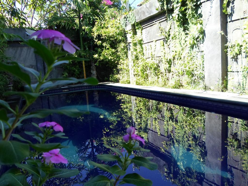 Отель Bali Aman Darling House Чангу Экстерьер фото